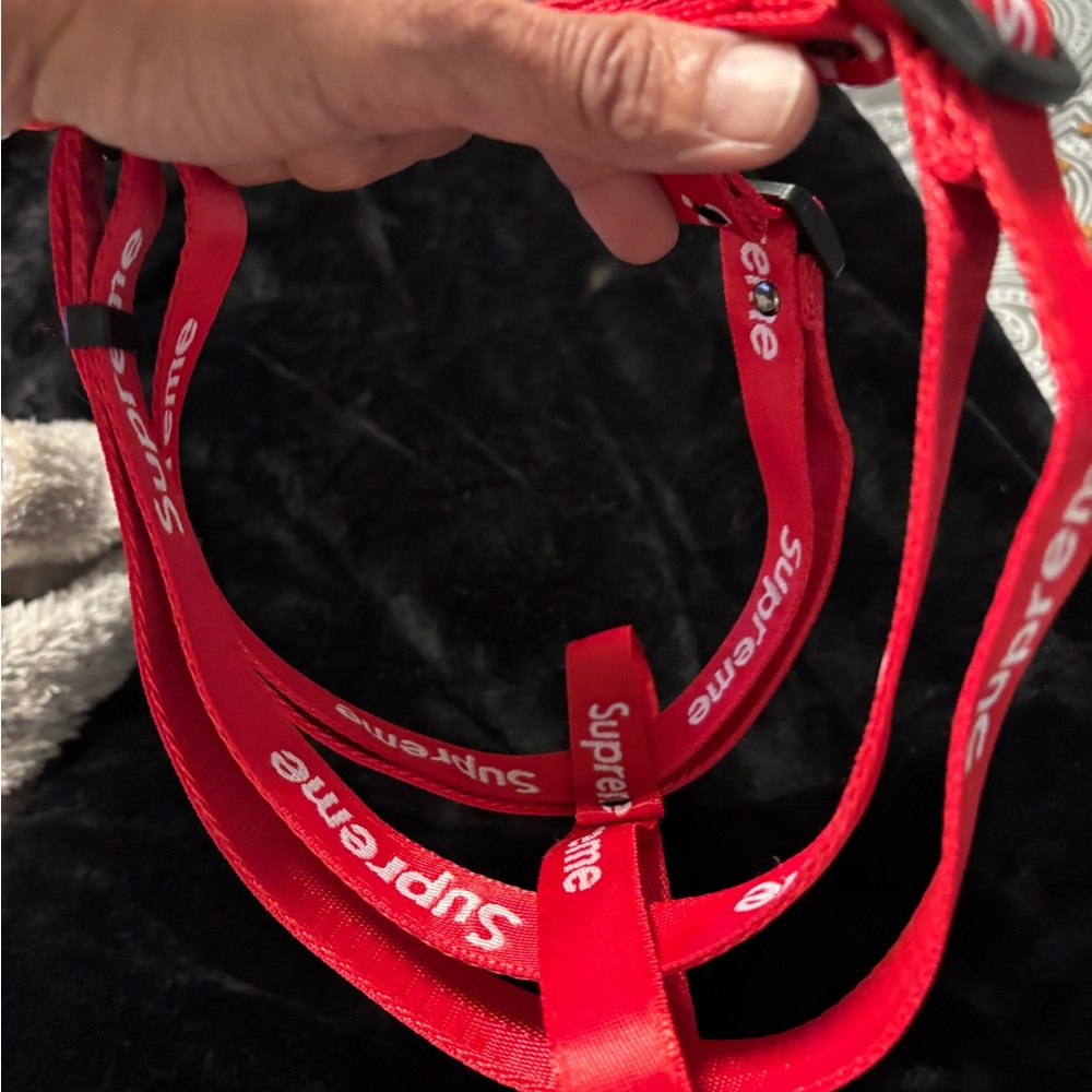 Bold Red Pet harness all sizes available